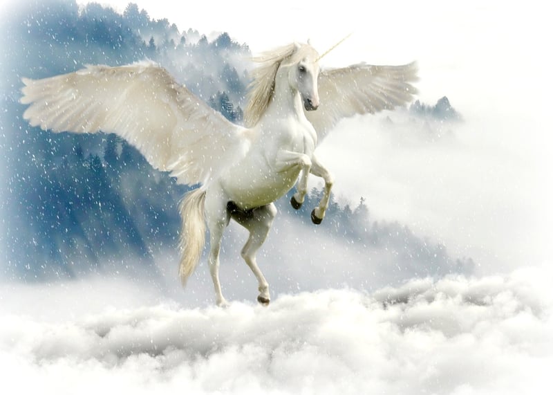 Unicorn Fantasy